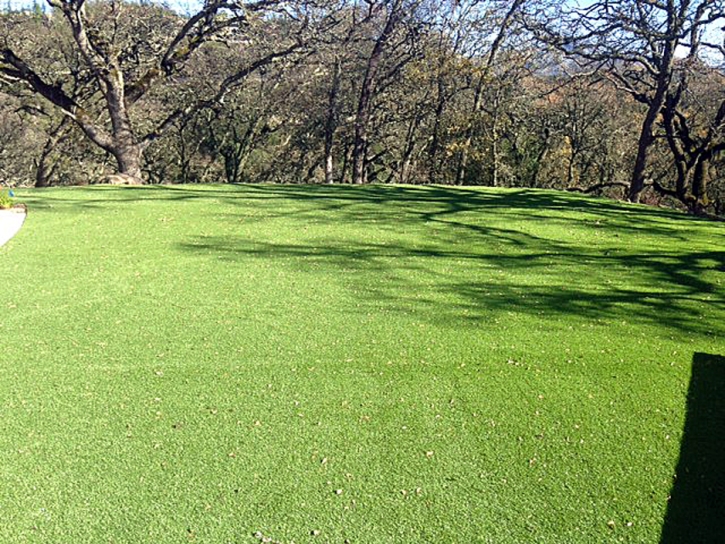 Fake Grass Grasonville Maryland Lawn Back Yard