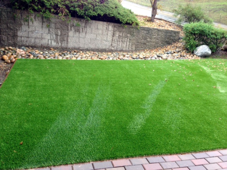 Fake Grass Hyattsville Maryland Lawn Front Yard