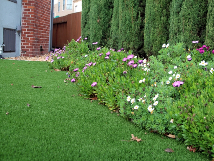 Fake Grass Kensington Maryland Lawn Back Yard