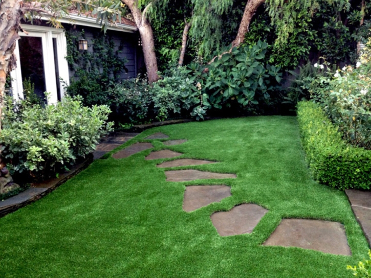 Fake Grass Laytonsville Maryland Landscape Front Yard