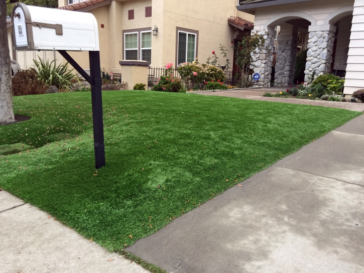 Fake Grass North Brentwood Maryland Landscape Commercial