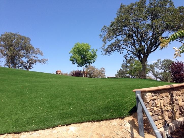 Fake Grass Perry Hall Maryland Lawn Front Yard