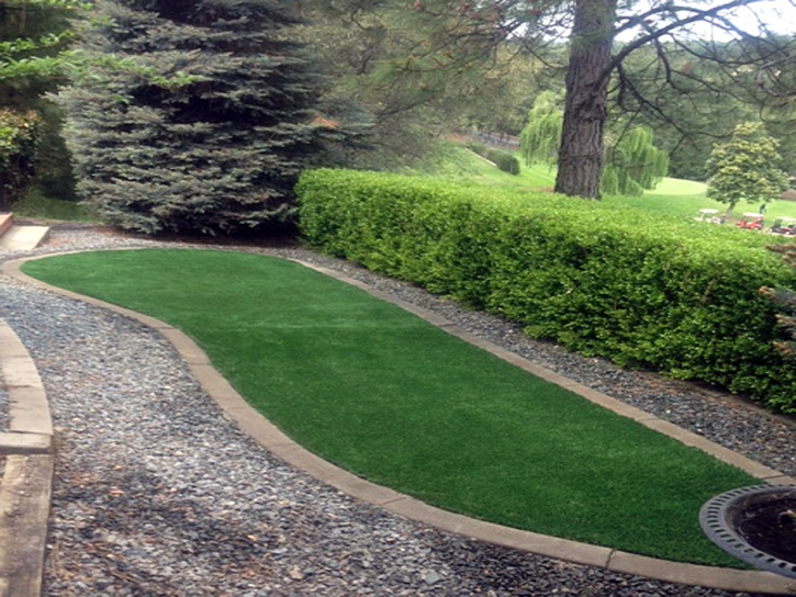 Fake Grass Riverdale Park Maryland Landscape Back Yard