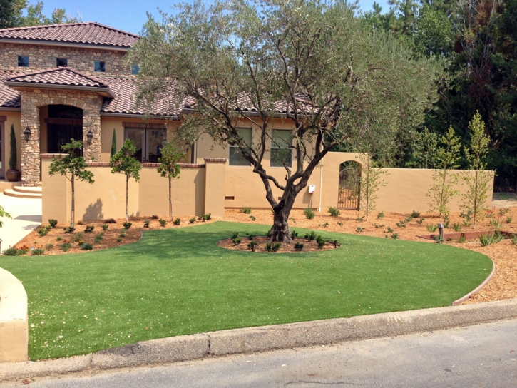 Fake Grass Severn Maryland Landscape Pavers Back Yard