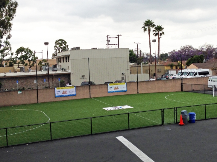 Fake Grass Sports Fields Ferndale Maryland Back Yard