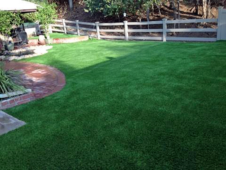 Fake Pet Grass Bladensburg Maryland Installation Front Yard