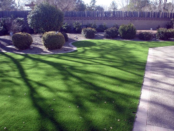 Fake Turf Arden on the Severn Maryland Landscape Back Yard