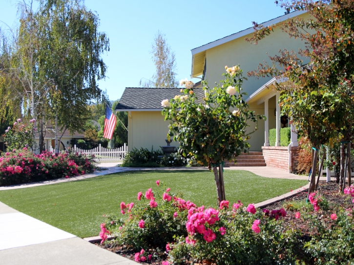 Fake Turf Brookeville Maryland Landscape Front Yard