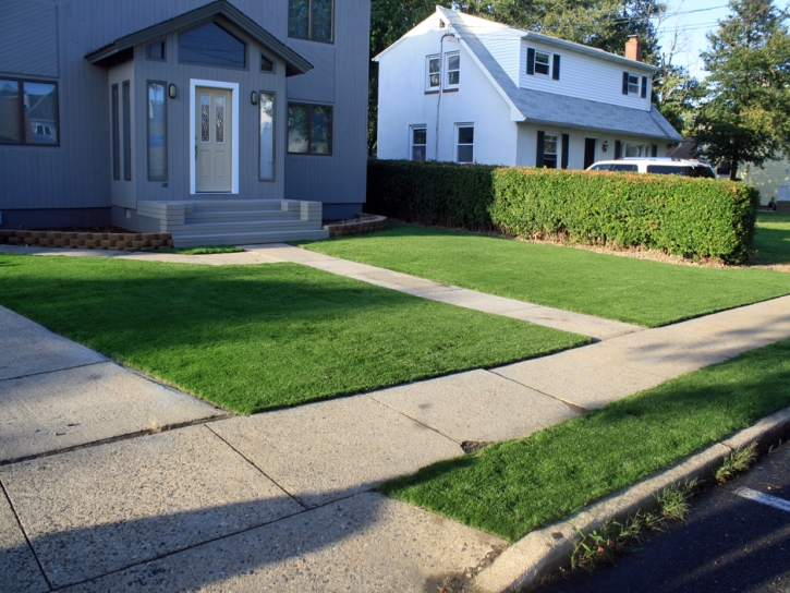 Fake Turf Cape Saint Claire Maryland Landscape Back Yard