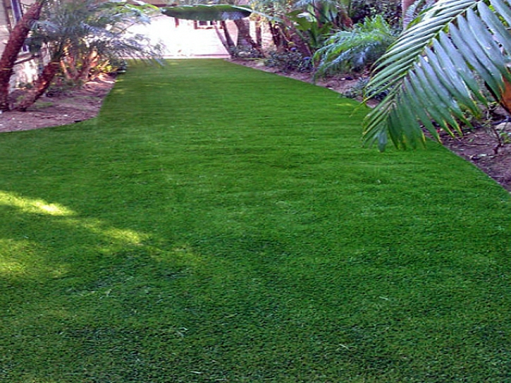 Fake Turf Cottage City Maryland Landscape Summer Pools