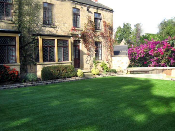 Fake Turf Edmonston Maryland Landscape Back Yard