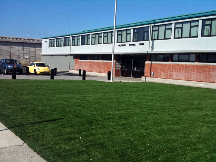 Fake Turf Essex Maryland Landscape Back Yard Cold Weather