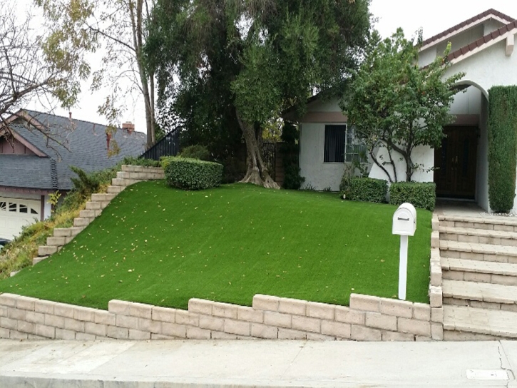 Fake Turf Fairlee Maryland Landscape Front Yard