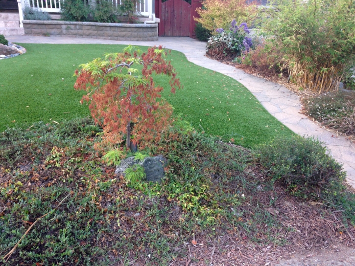 Fake Turf Glenmont Maryland Lawn Front Yard