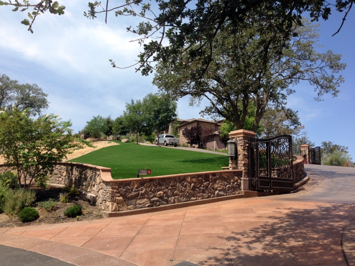 Fake Turf Highland Beach Maryland Landscape Back Yard