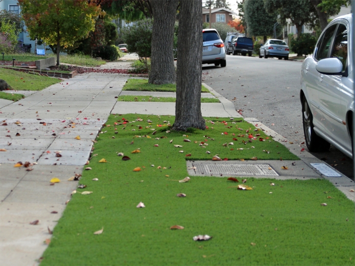 Fake Turf North Brentwood Maryland Landscape Back Yard