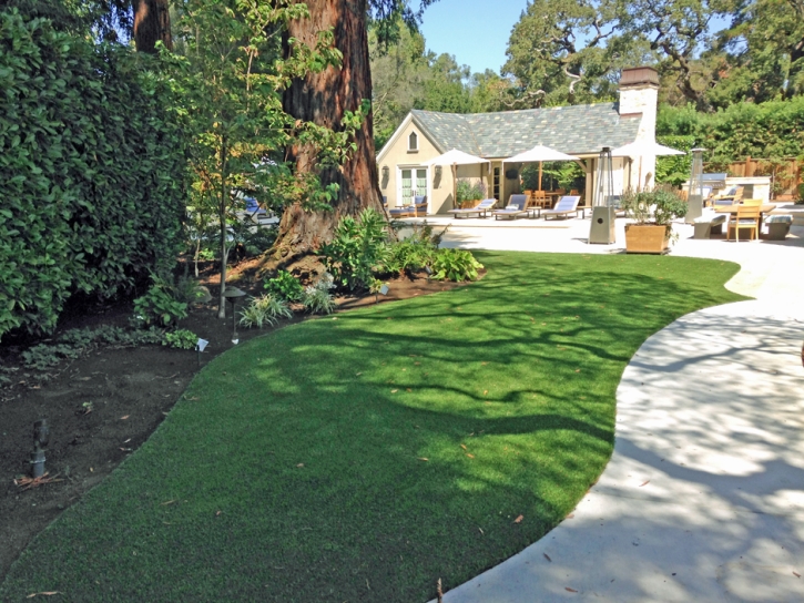 Fake Turf Owings Mills Maryland Landscape Back Yard