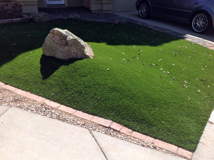 Fake Turf Selby-on-the-Bay Maryland Lawn Back Yard