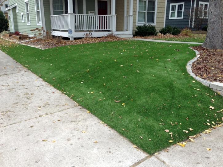 Fake Turf Woodmore Maryland Landscape Commercial Landscape