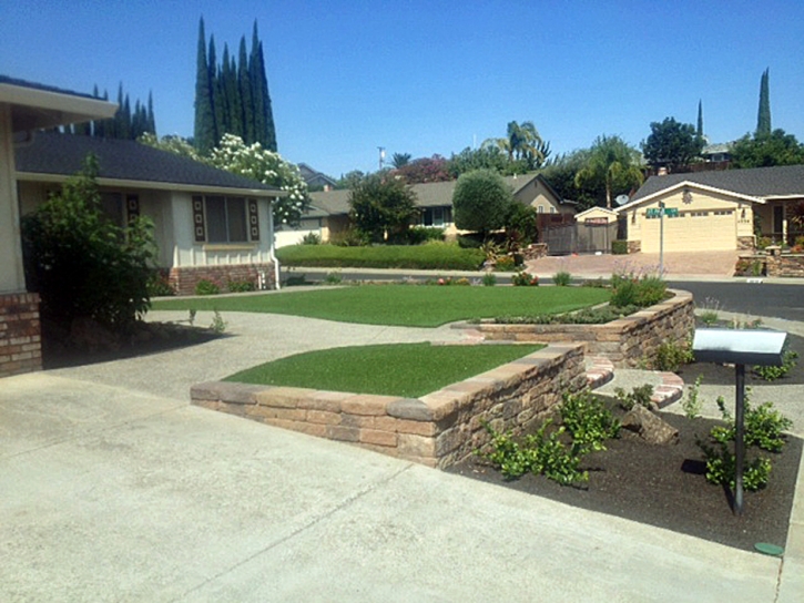 Fake Turf Worton Maryland Landscape Summer Pools Back