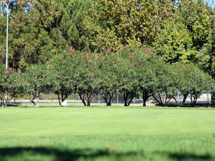 Golf Putting Greens Bowie Maryland Fake Turf Front Yard