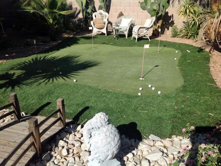 Golf Putting Greens Perryman Maryland Fake Grass Back Yard