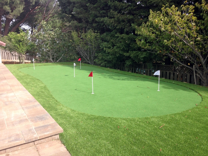 Golf Putting Greens Seabrook Maryland Fake Turf Front Yard