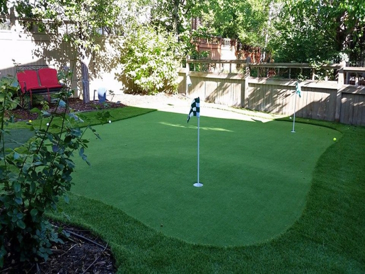 Putting Greens Brock Hall Maryland Fake Turf Back Yard