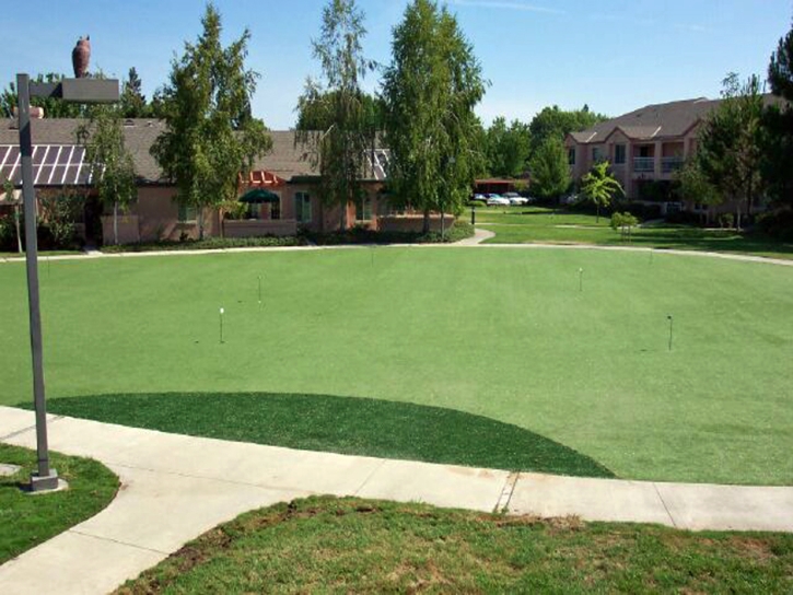 Putting Greens Edgewater Maryland Artificial Turf Back Yard