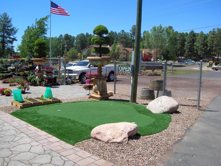 Putting Greens Herald Harbor Maryland Synthetic Turf Swimming