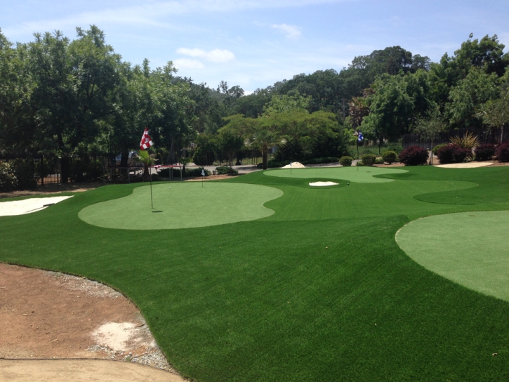 Putting Greens Jessup Maryland Artificial Turf Back Yard