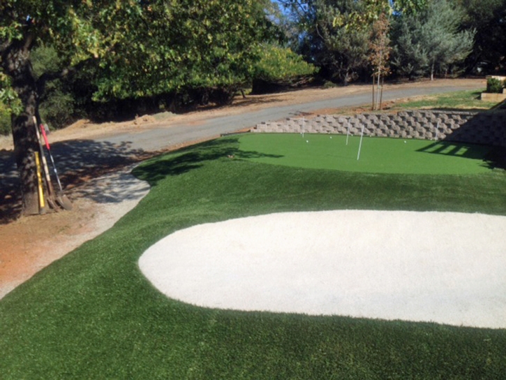 Putting Greens Overlea Maryland Fake Grass Back Yard