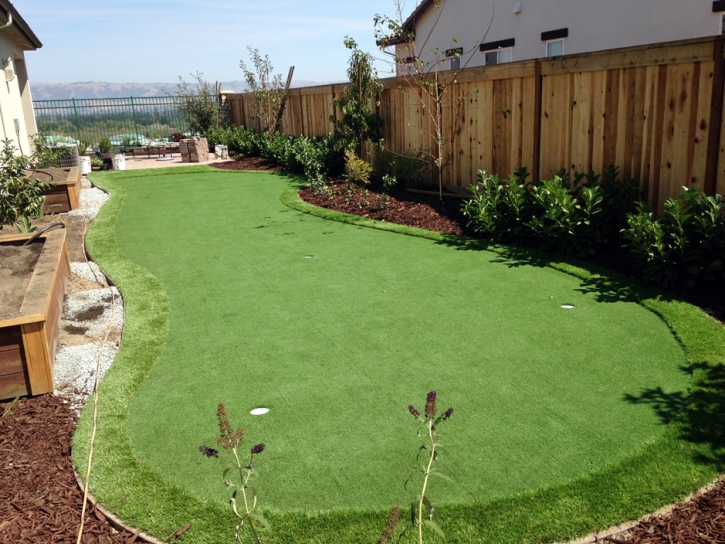 Putting Greens Riva Maryland Fake Grass Back Yard