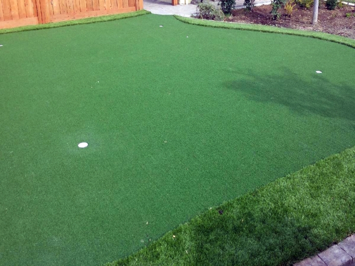 Putting Greens Worton Maryland Artificial Grass