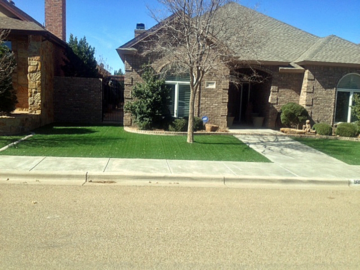 Synthetic Grass East Riverdale Maryland Lawn Front Yard