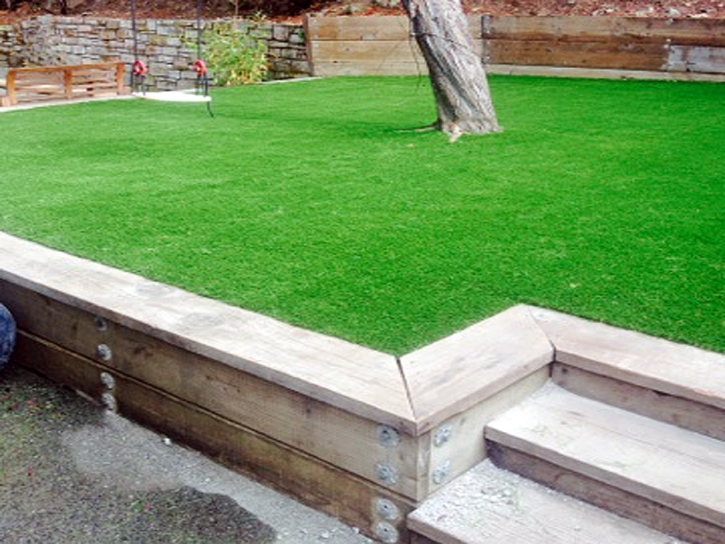 Synthetic Grass Edgewater Maryland Landscape Back Yard