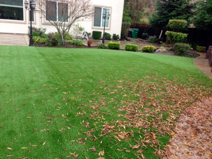 Synthetic Grass Four Corners Maryland Landscape Front Yard