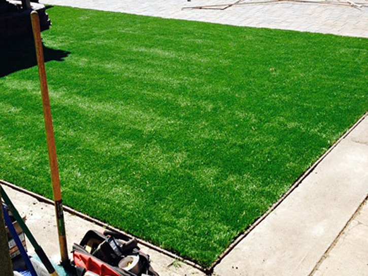 Synthetic Grass Georgetown Maryland Landscape Back Yard