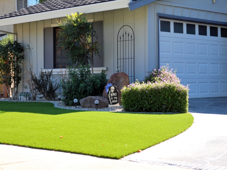 Synthetic Grass Hillsmere Shores Maryland Landscape Back