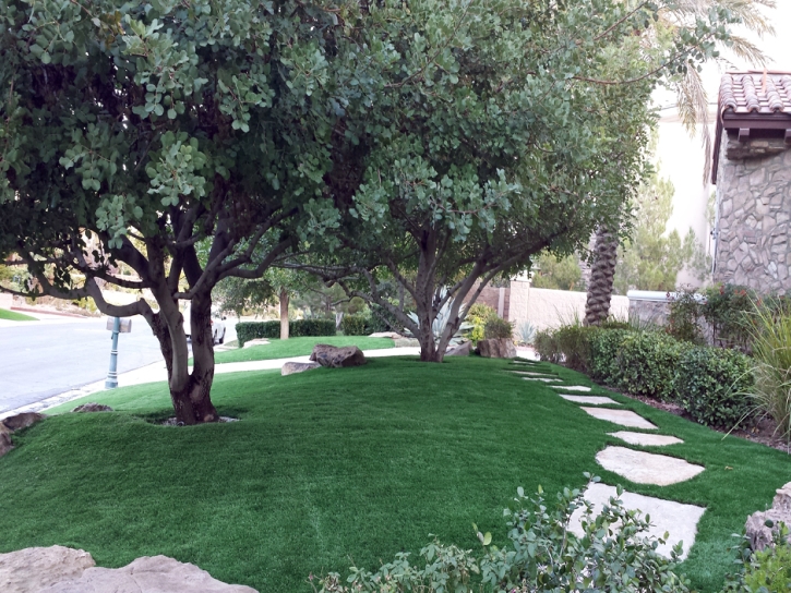 Synthetic Grass Joppatowne Maryland Lawn Back Yard