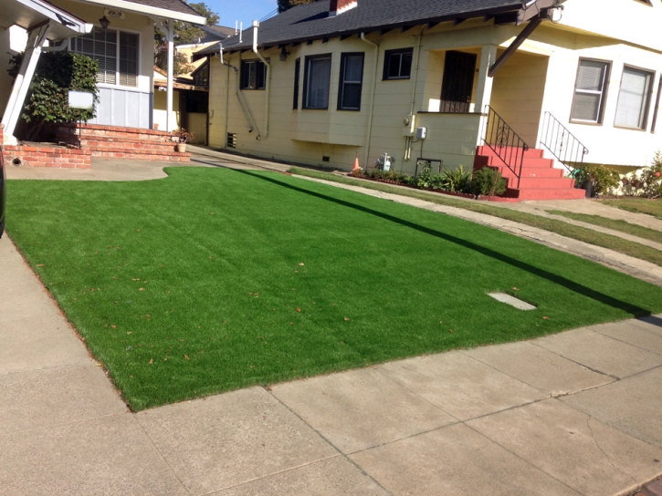 Synthetic Grass Largo Maryland Landscape Commercial Landscape