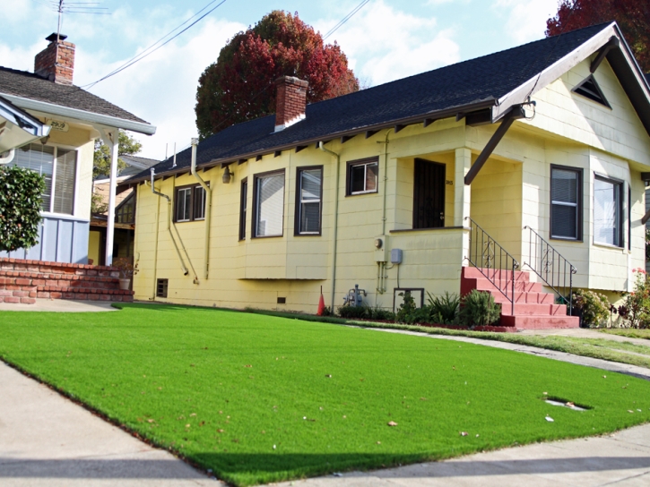 Synthetic Grass North Chevy Chase Maryland Landscape Summer