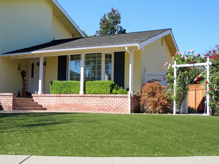 Synthetic Grass North Chevy Chase Maryland Lawn Back Yard