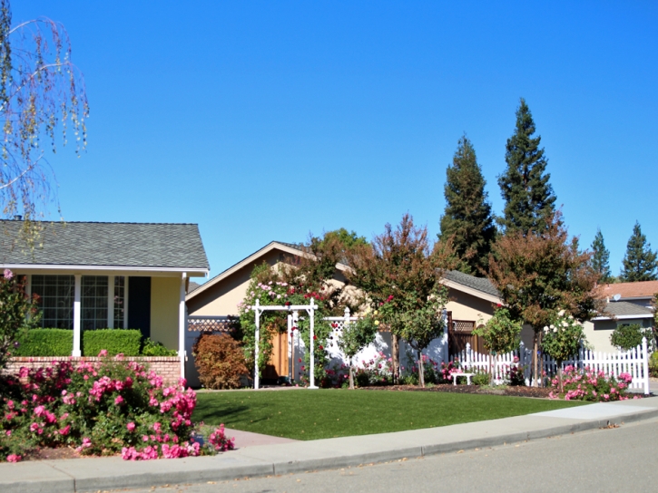 Synthetic Grass Olney Maryland Lawn Front Yard