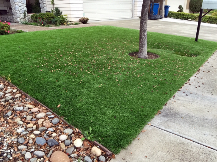 Synthetic Grass Pylesville Maryland Lawn Back Yard