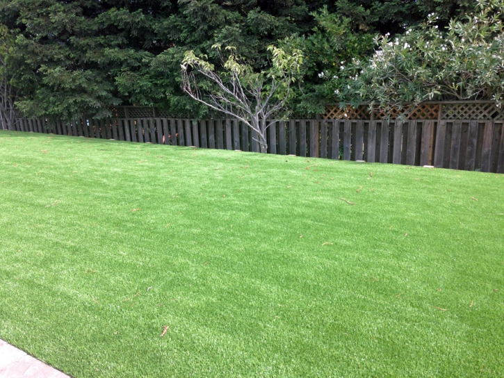 Synthetic Grass Selby-on-the-Bay Maryland Lawn Commercial