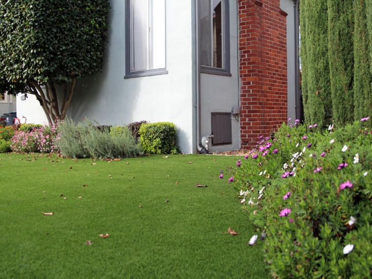 Synthetic Grass Silver Spring Maryland Landscape