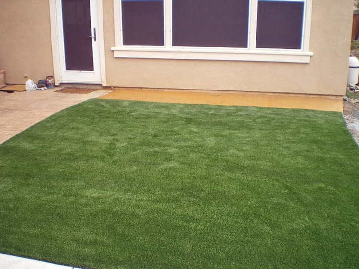 Synthetic Grass Takoma Park Maryland Landscape Front Yard