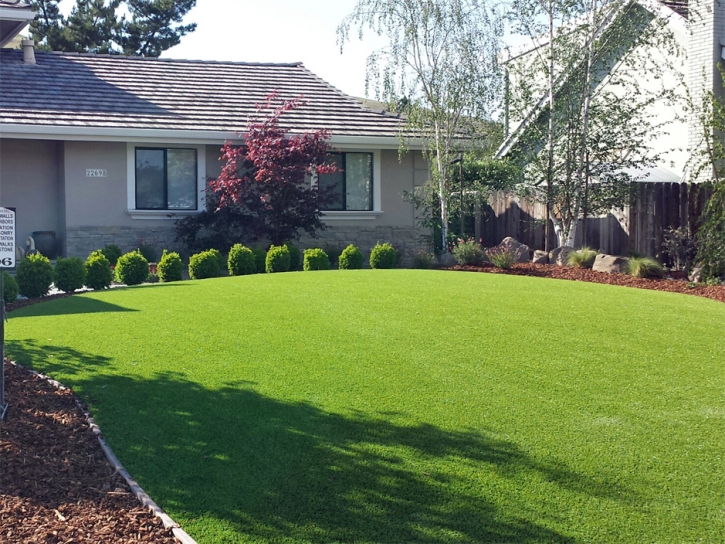 Synthetic Grass White Marsh Maryland Landscape Front Yard