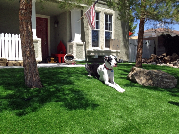 Synthetic Pet Grass Joppatowne Maryland for Dogs Back Yard